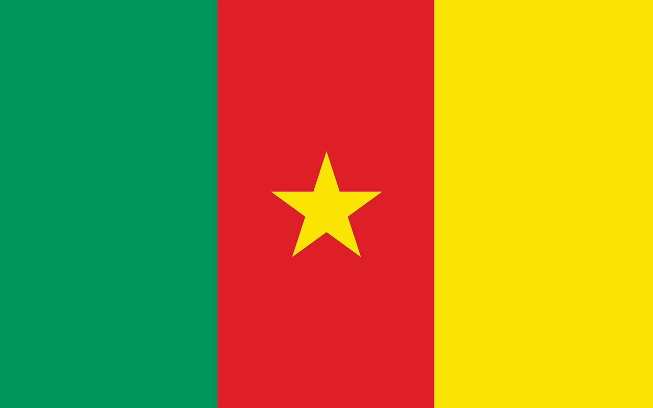 The Cameroon Flag